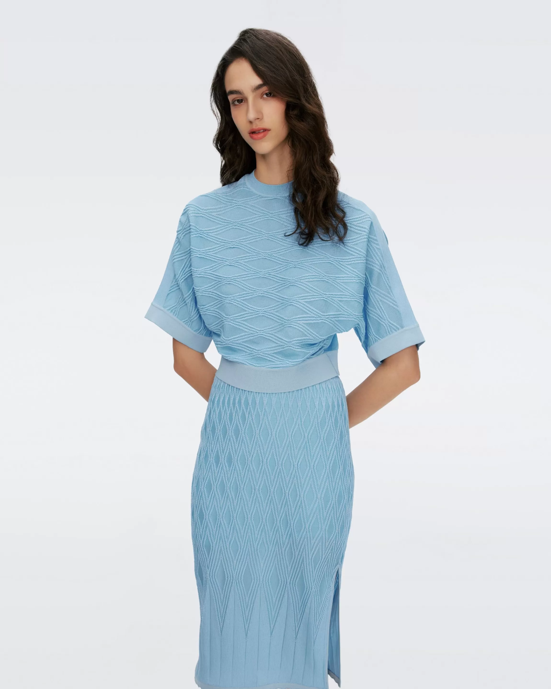 dvf Gisele Knit Jacquard Skirt in Sky Blue Shop